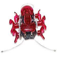 Hex bug insecto liquidacion