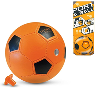 Pelota port a ball