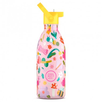 Botella acero cool bottles kids bug life 500ml